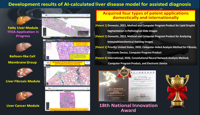 Figure 2. Development results of AI-calculated liver disease model for assisted diagnosis.