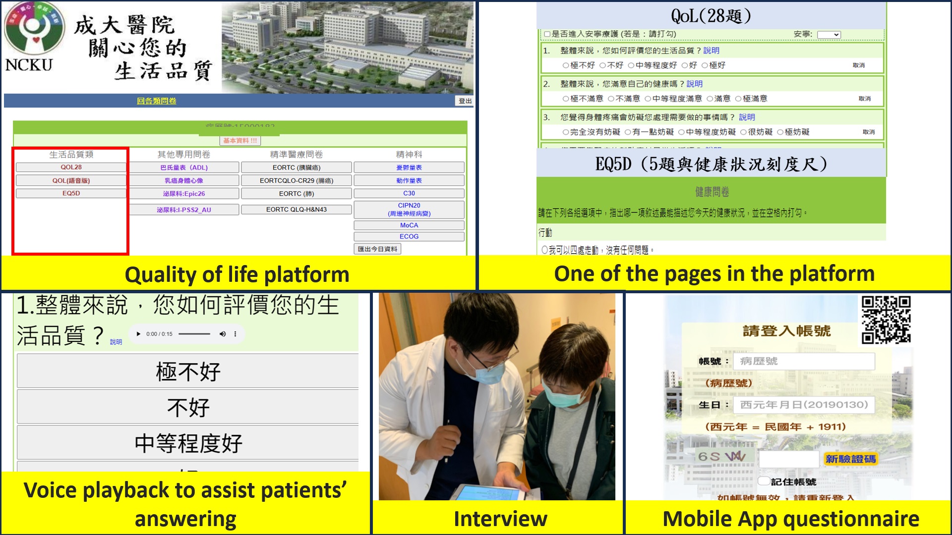 Figure 2. Online quality of life questionnaire