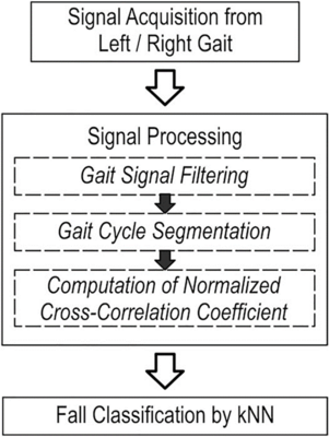 Instrumental Gait Analysis for Sarcopenia and Fall PreventionImage